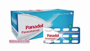 Panadol Golongan Obat Apa